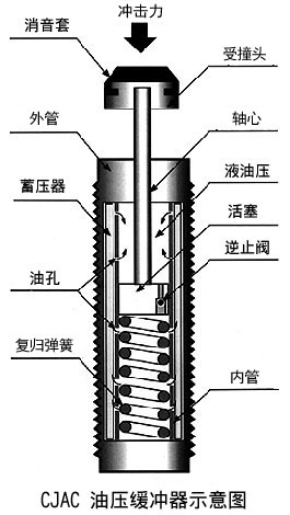 麻豆短视频免费版在應用中的功能